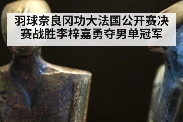 羽球奈良冈功大法国公开赛决赛战胜李梓嘉勇夺男单冠军