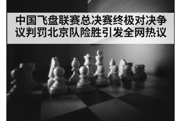 中国飞盘联赛总决赛终极对决争议判罚北京队险胜引发全网热议